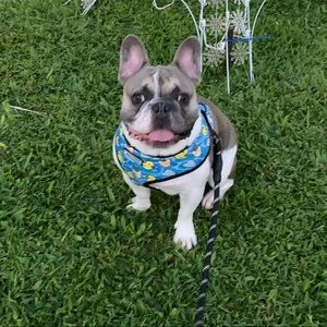 Meet your Posher, Carol